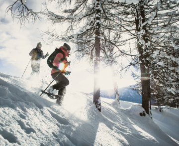 Gruppe beim Schneeschuhwandern in Seefeld