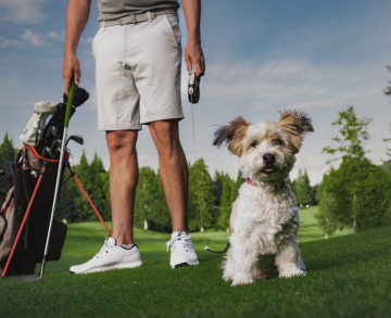 Mann mit Hund auf dem Golfclub Seefeld-Reith