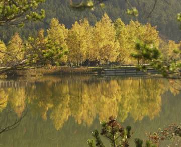 Herbstliche Genussrunde am Wildsee - Sacher Seefeld