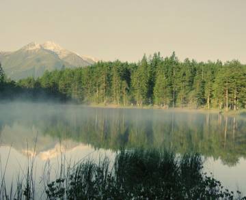 Rundwanderung zum Möserer See - Sacher Seefeld