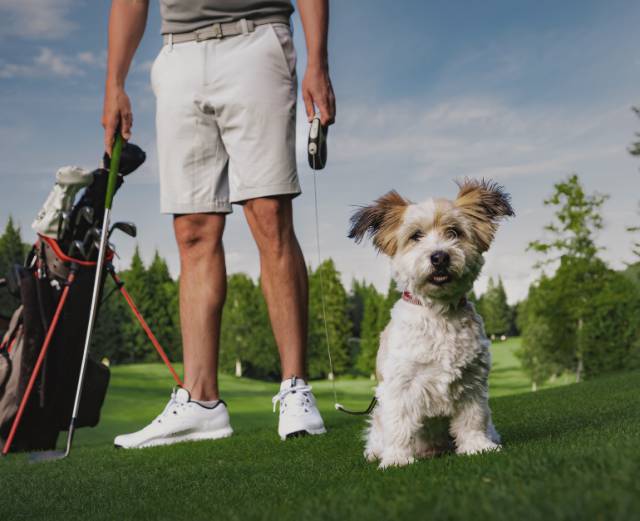 Mann mit Hund auf dem Golfclub Seefeld-Reith