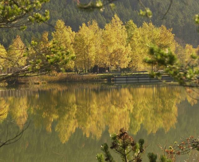 Herbstliche Genussrunde am Wildsee - Sacher Seefeld