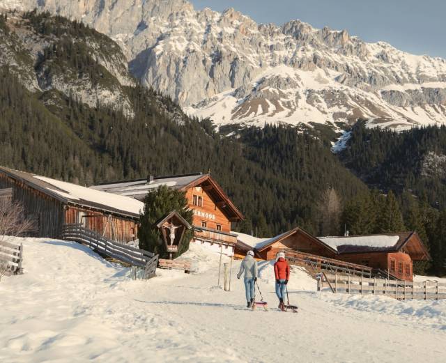 Rodelbahn Hämmermoosalm - Sacher Seefeld