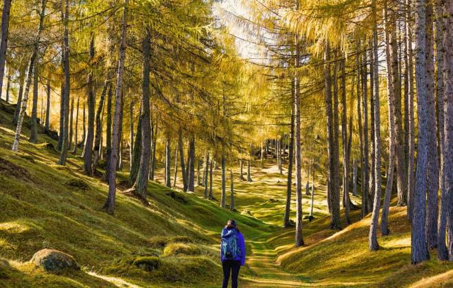 alleanzeigen,herbst