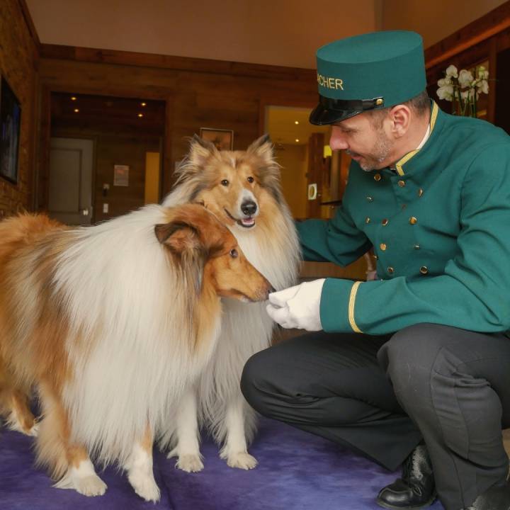 Ellas Lieblingsplätze in Seefeld: Hundefibel - Sacher Seefeld