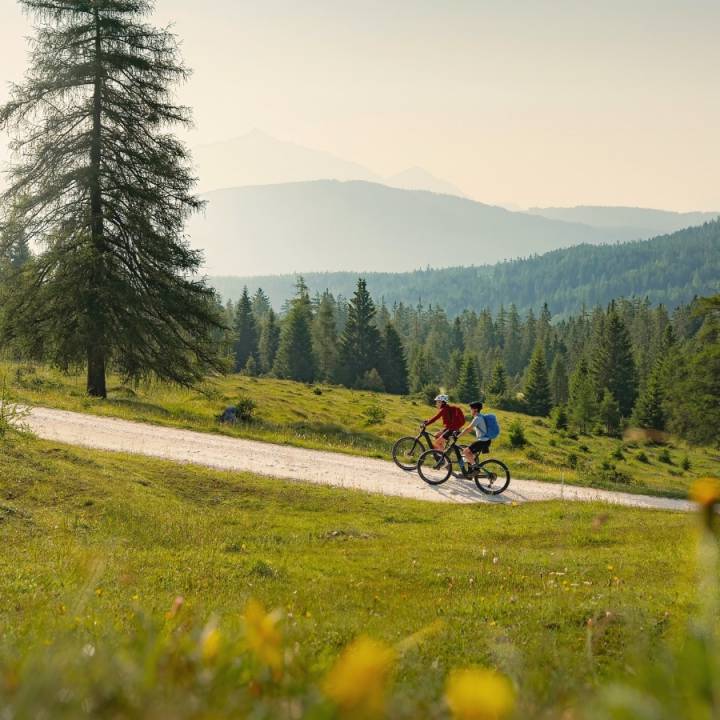 Saisonstart für Fahrrad, Golf & mehr: Frühling - Sacher Seefeld