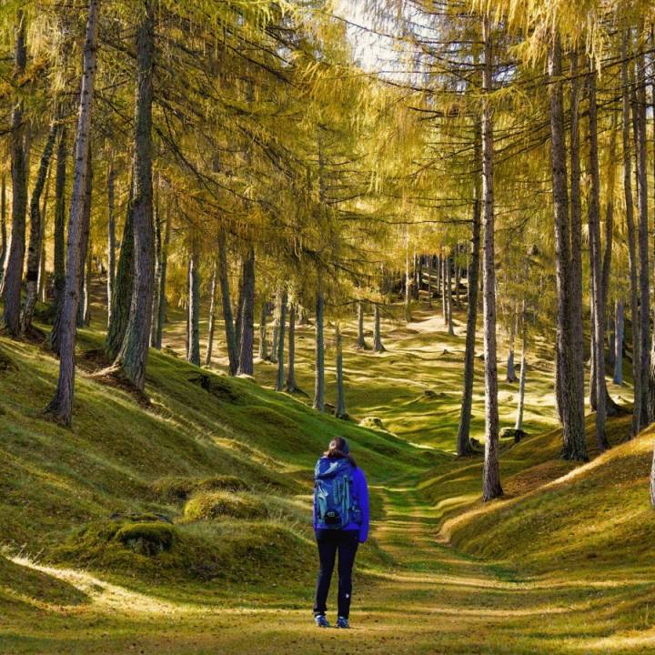 Goldene Zeiten in den Tiroler Bergen: Herbst - Sacher Seefeld