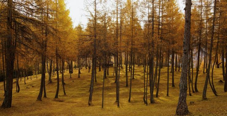 Aktivurlaub im Herbst in Tirol: Wandern in und um Seefeld - Sacher Seefeld