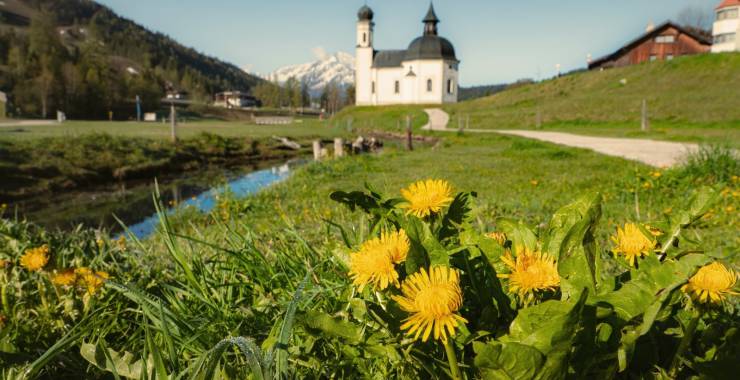 Zu Fuß durch die erwachende Natur: Wandern im Frühling in Seefeld - Sacher Seefeld