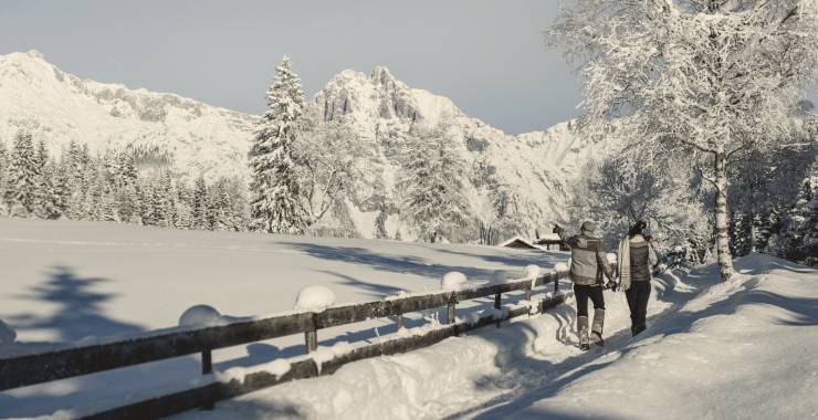 Sanfte Wege durch den Schnee: Winterwandern in funkelndem Weiß - Sacher Seefeld