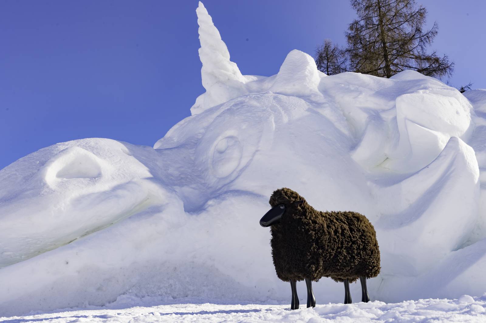 Das Einhorn in Seefeld Symbolfoto