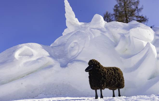 Das Einhorn in Seefeld Symbolfoto